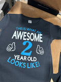 Awesome 2 year old Shirt