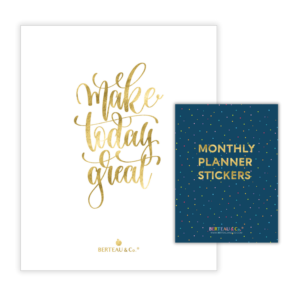 The Go Planner Insert & Sticker Book