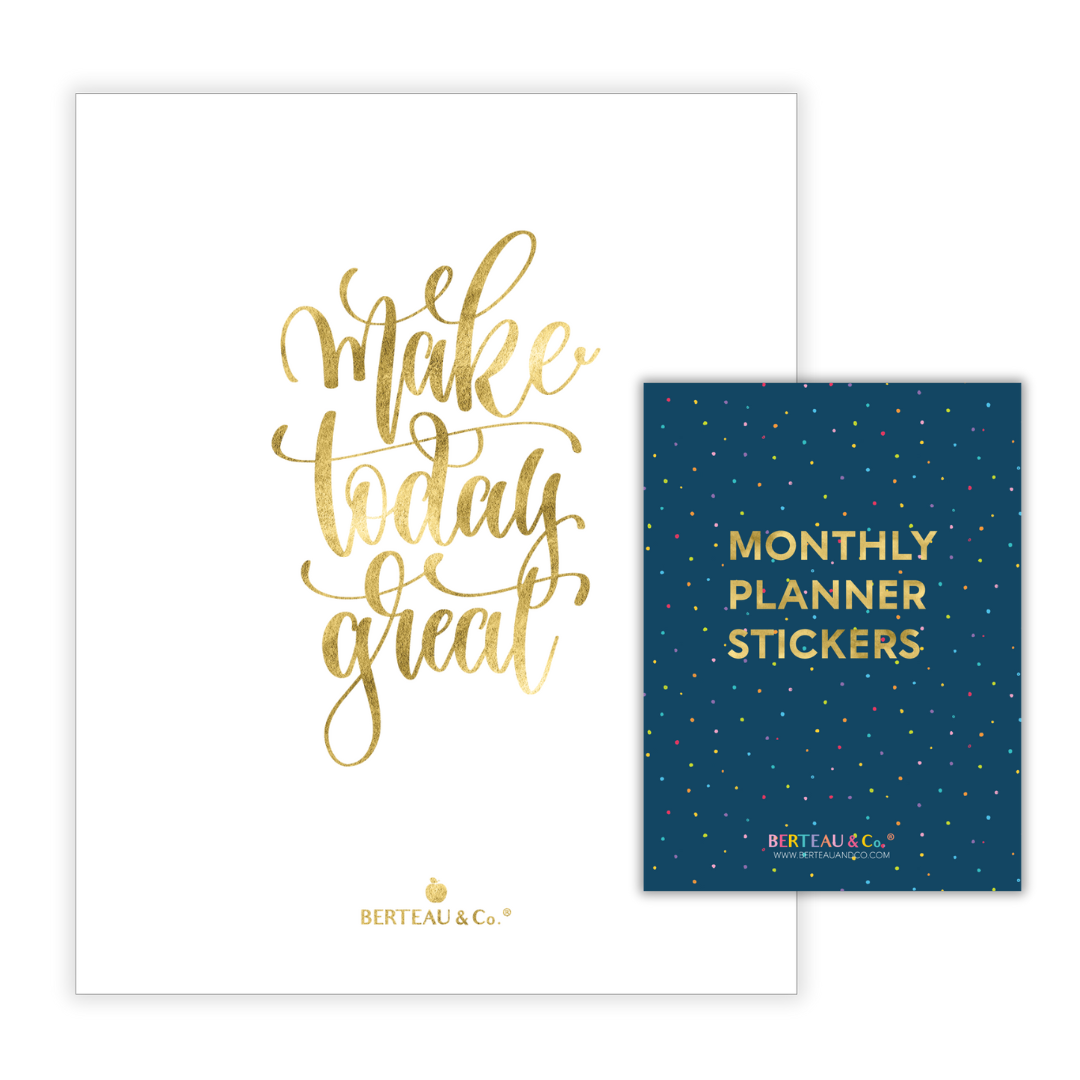 The Go Planner Insert & Sticker Book