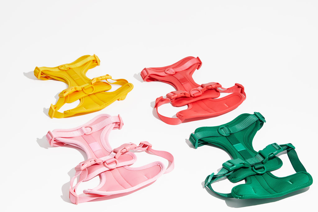 Luxe Harness