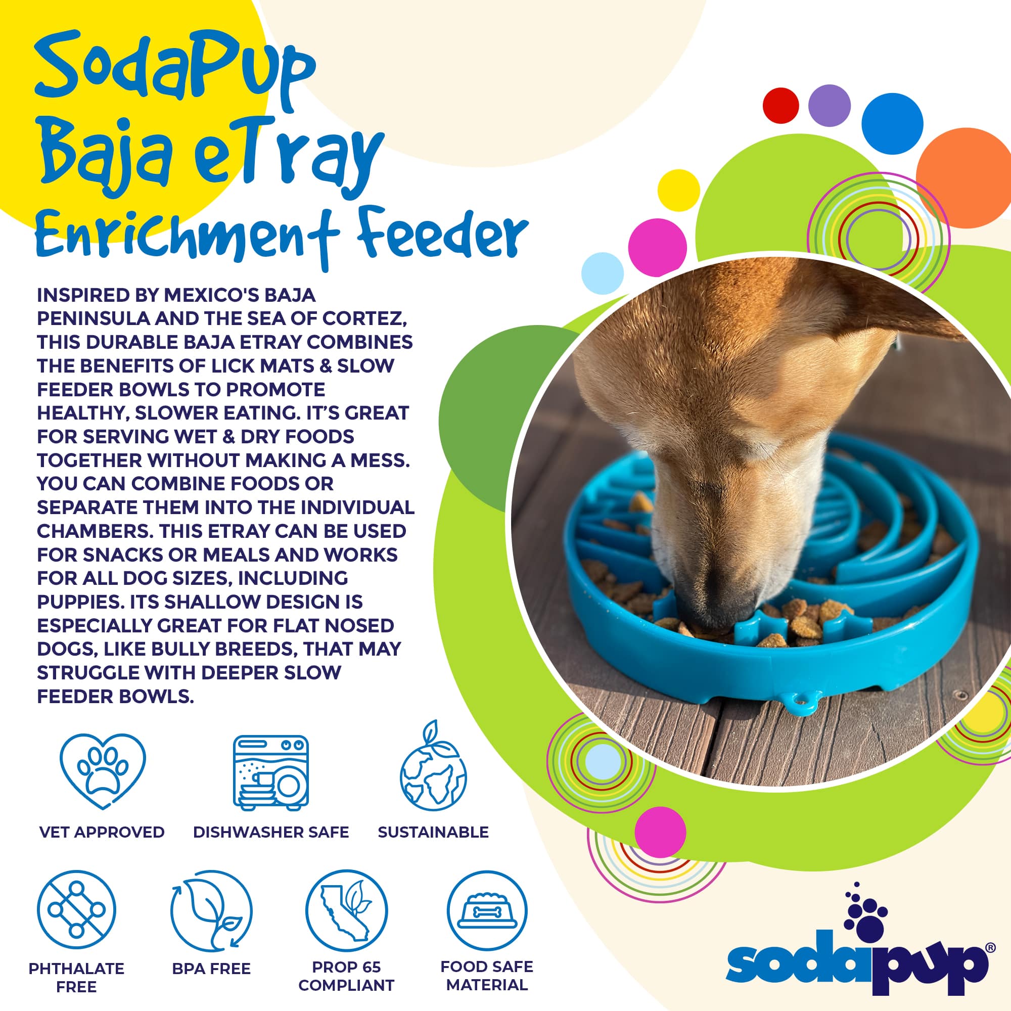 Baja Design eTray - Shallow Slow Feeder Dog Bowl for Enrichment | USA Made
