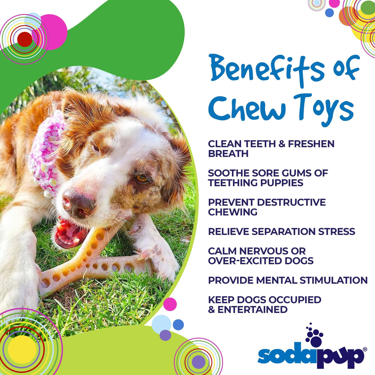 MOD Wishbone Nylon Dog Chew Toy for Aggressive Chewers | USA Made