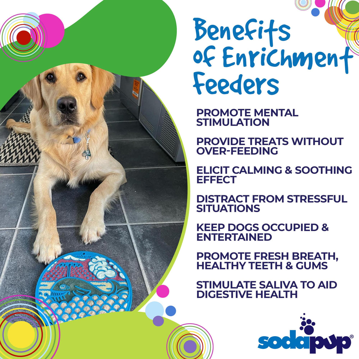 Whale eMat - Enrichment Lick Mat for Dogs and Cats - with Suction Cups | Whale Design | USA Made