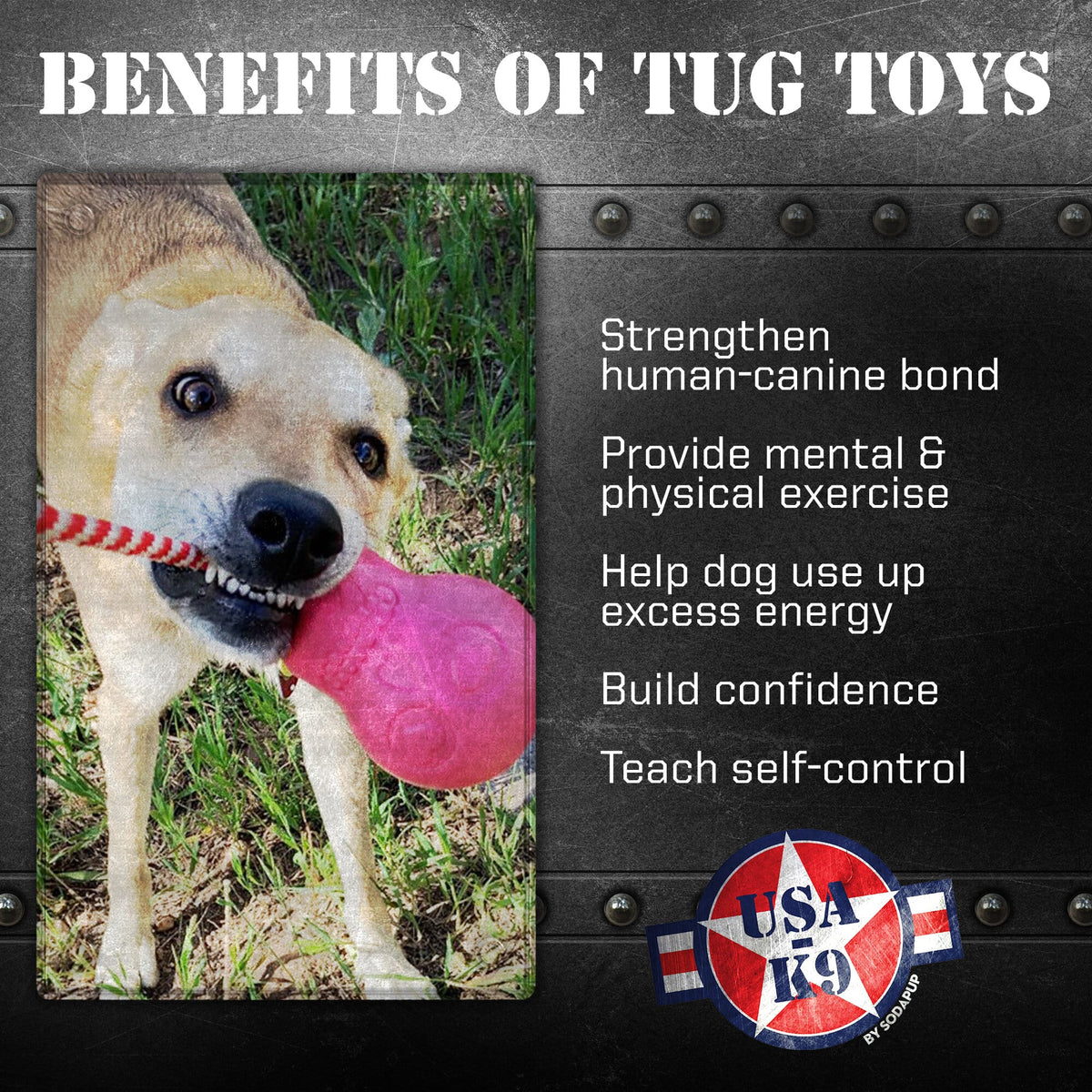 USA-K9 Skull Dog Chew Toy & Treat Dispenser - Made in USA | SodaPup