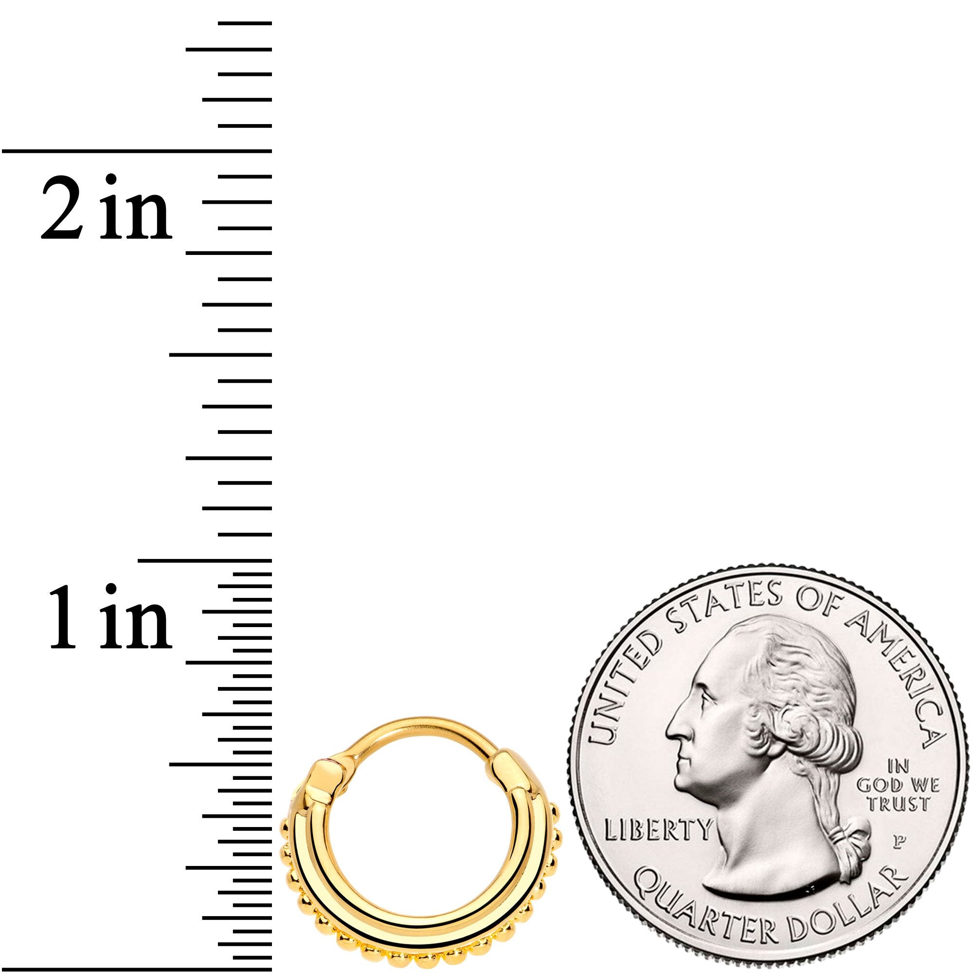 16G 3/8 Gold Tone Delicate Details Hinged Septum Ring
