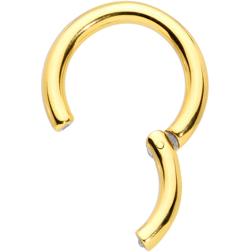 8G 5/8 Gold Tone PVD Steel Hinged Segment Ring