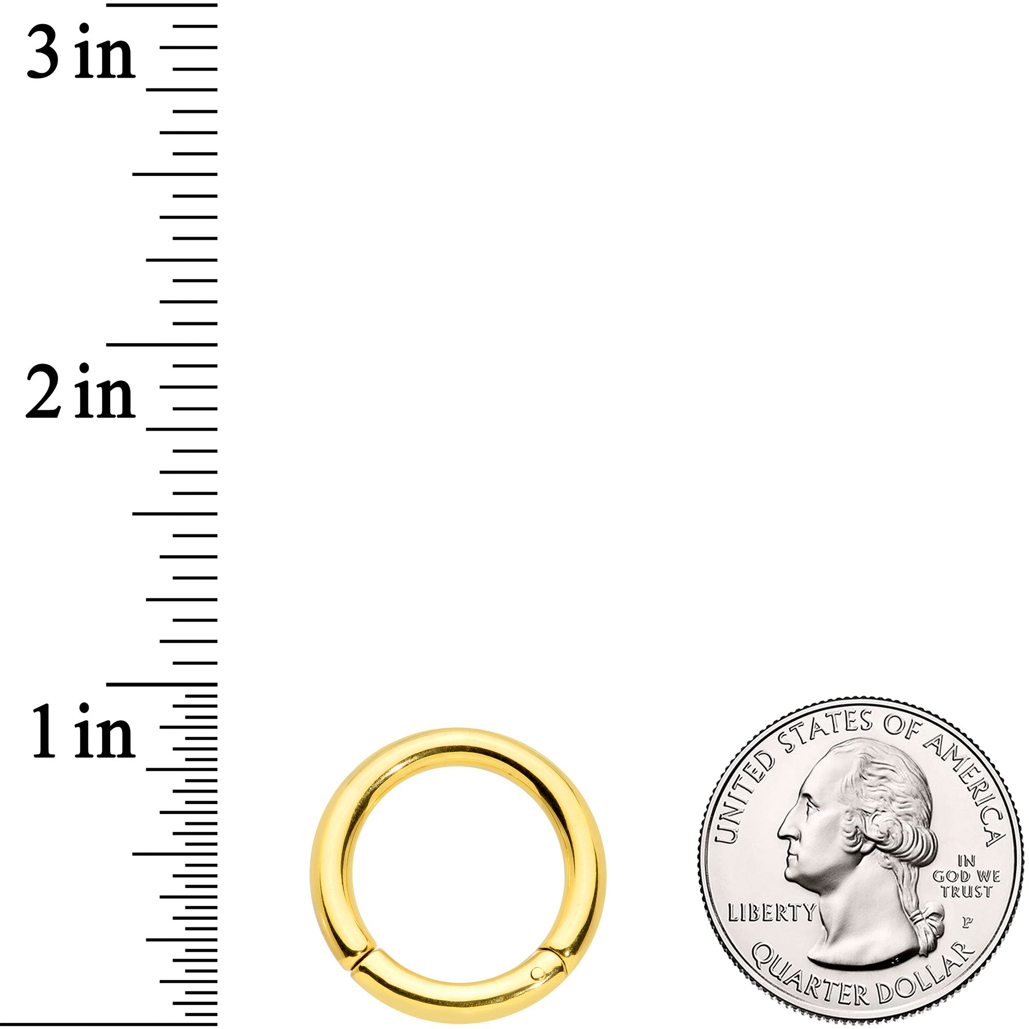 8G 5/8 Gold Tone PVD Steel Hinged Segment Ring
