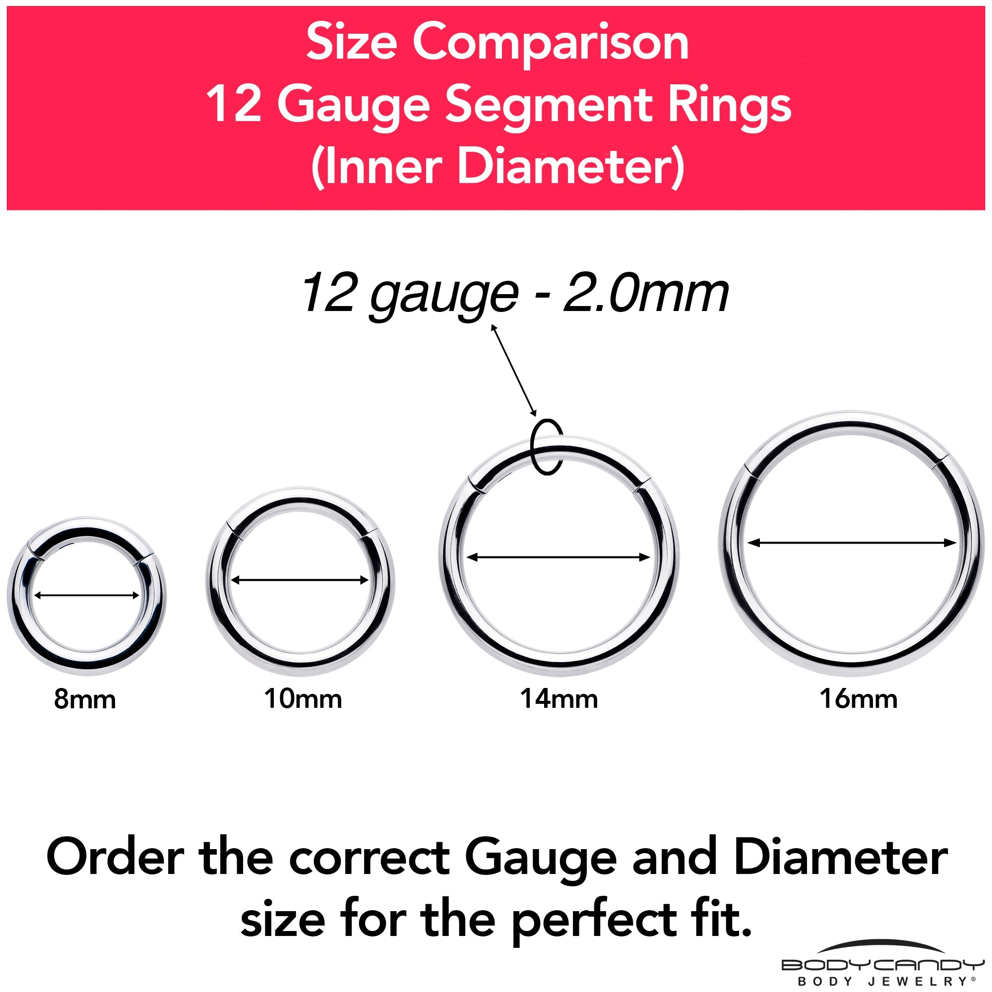 12G 3/8 316L Surgical Steel Precision Hinged Segment Hoop