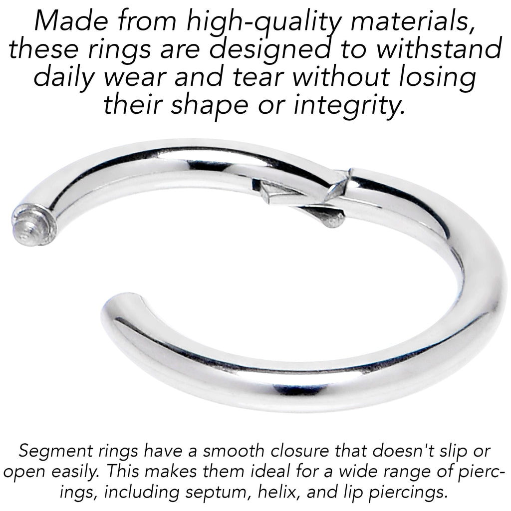 6G 5/8 316L Surgical Steel Precision Hinged Segment Hoop