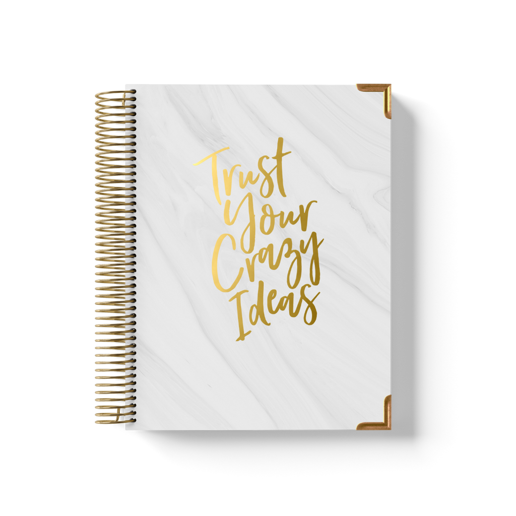 Crazy Ideas Teacher Planner by BERTEAU & Co.