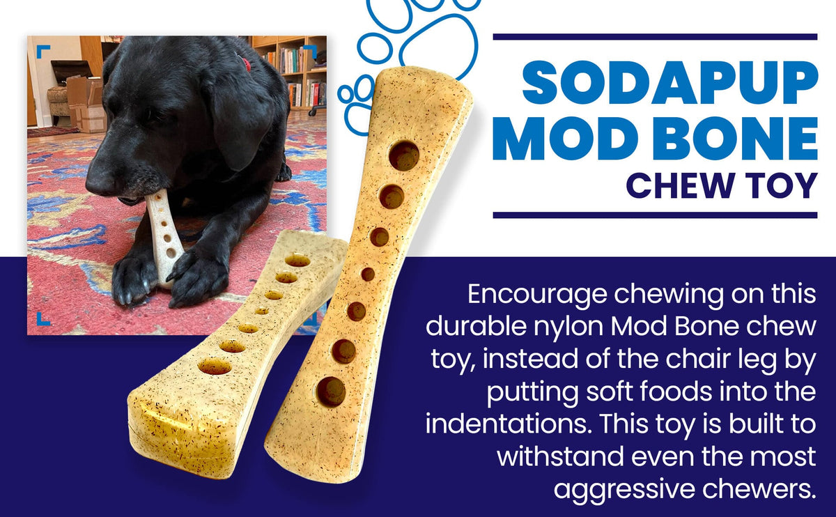 MOD Bone Nylon Dog Chew Toy for Aggressive Chewers | USA Made