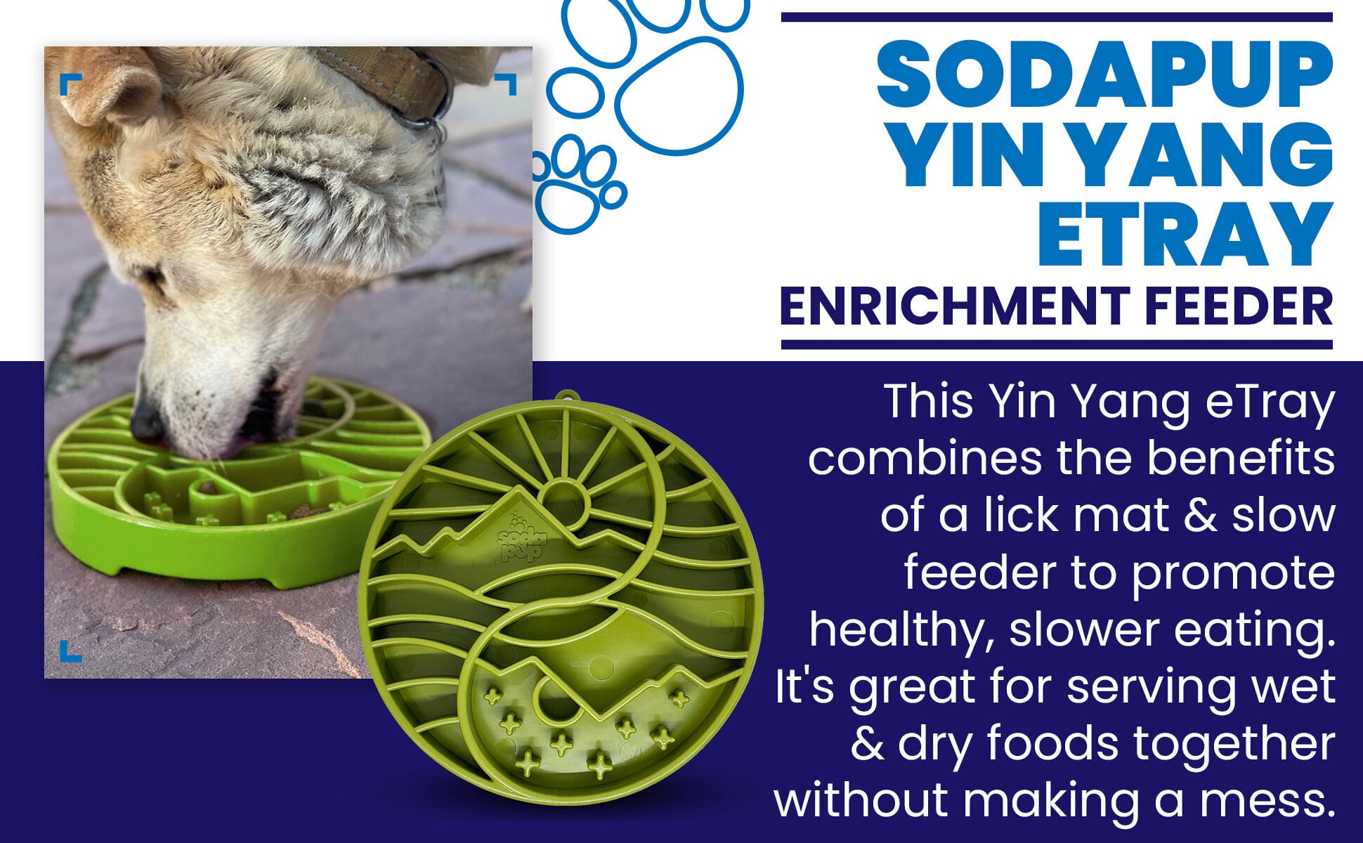 Sun and Moon eTray - Shallow Slow Feeder Dog Bowl for Enrichment | USA Made