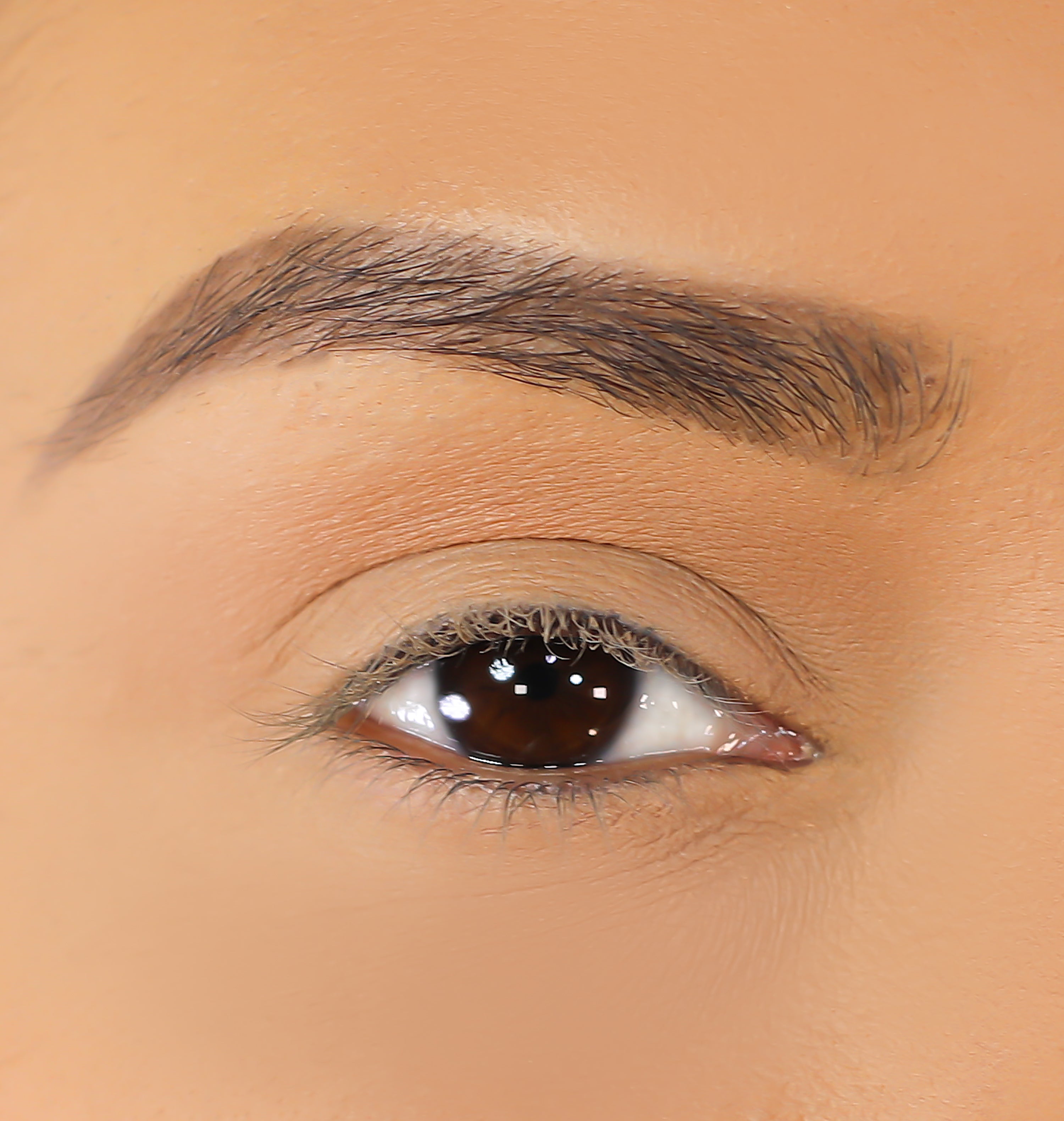 3D Mink Eyelashes - Nina