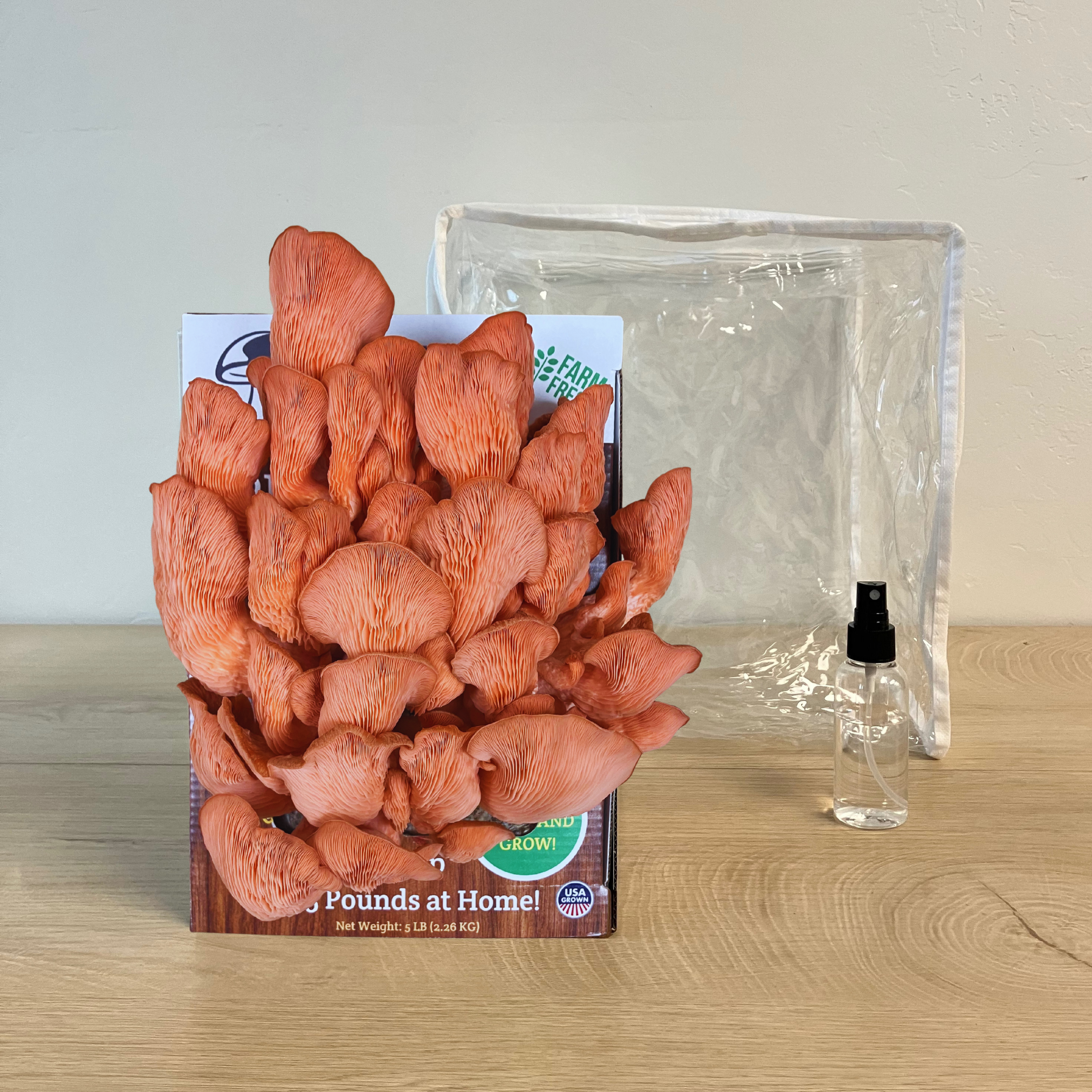 3 Pack - Premium Lion's Mane, Pink, and Blue Oyster Mushroom Growing Kit - 15 LBS