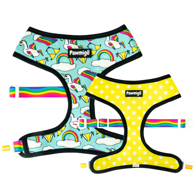 Pool Pawty Reversible Harness