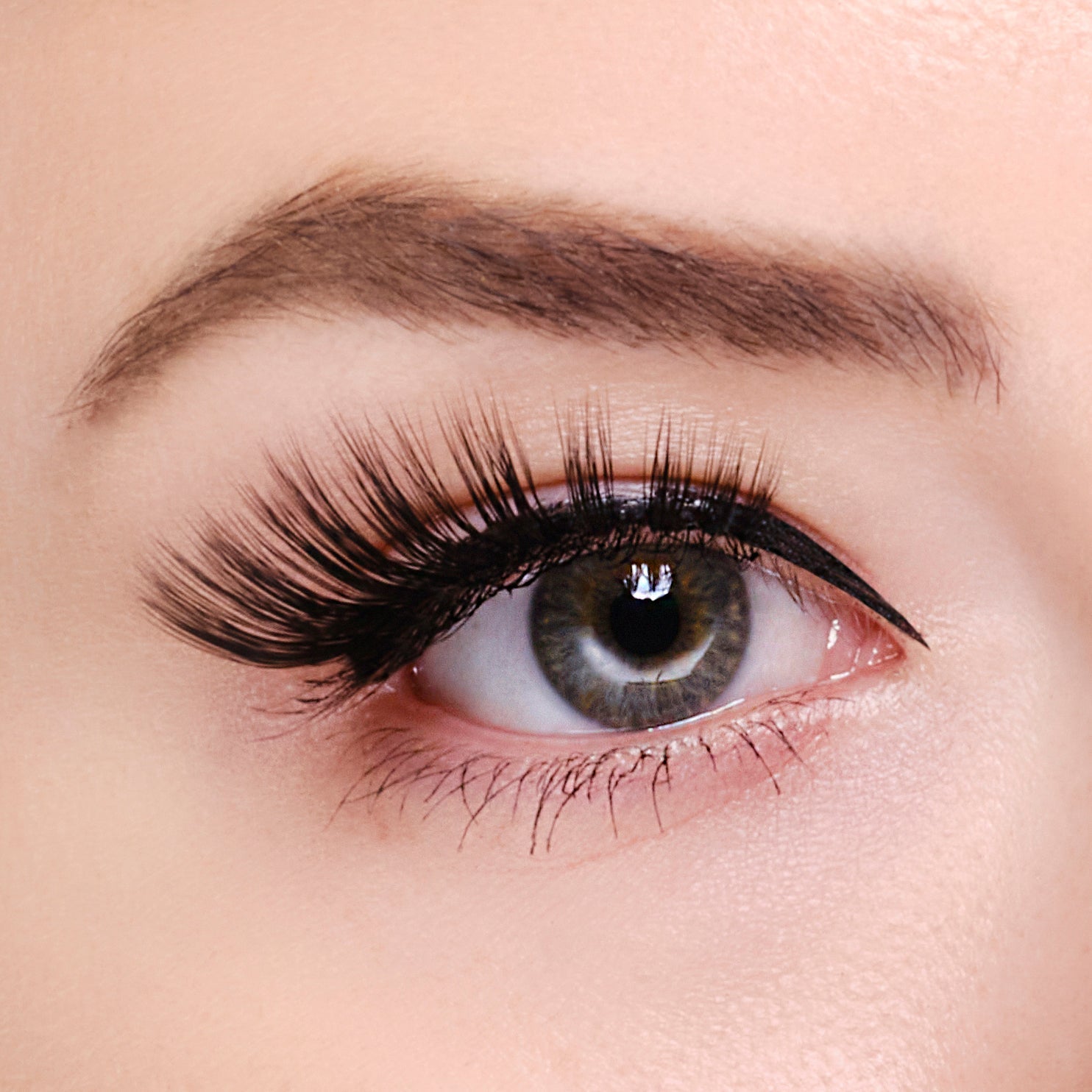 Synthetic Eyelashes - Cambridge