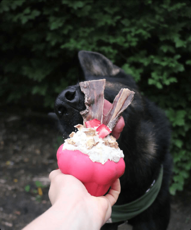 Cupcake eDispenser - Durable Rubber Chew Toy & Treat Dispenser | USA Made