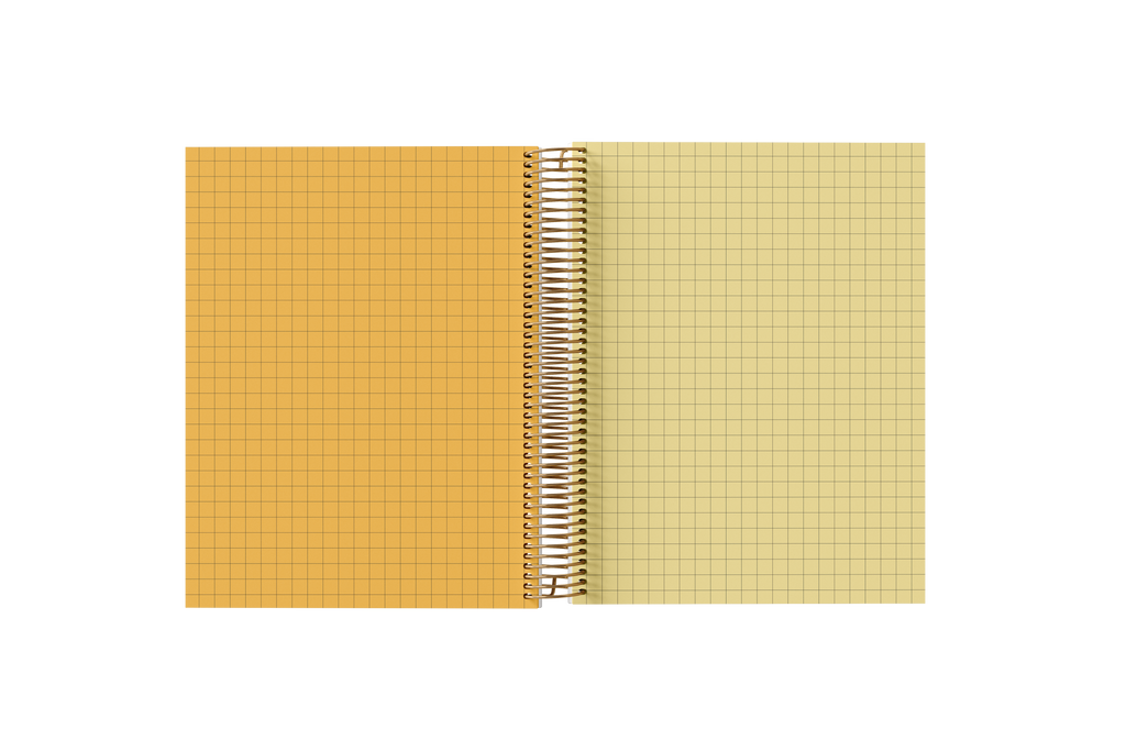 GRAPH Paper Holographic Notebook by BERTEAU & Co.